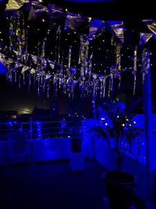 瓦拉纳西Gully Ghar的蓝色的房间,设有吊灯、植物和灯