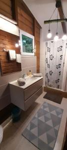 勒弗朗索瓦Le Chalet Tropical的一间带水槽和淋浴的浴室