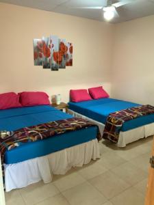 埃斯特利LA DOLCE VITA FRANCOPHONE的客房配有两张带蓝色和红色枕头的床。