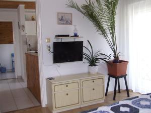 科马罗姆Czanek Apartman的客厅的墙上挂有植物,配有电视
