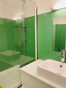 Chennevières-sur-MarneAppartement avec jardin (25min DisneyLand Paris)的绿色浴室设有水槽和淋浴