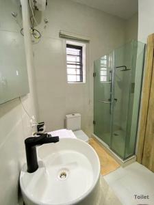 IbejuIVYs 4 Bedroom Luxury Entire Apartment Duplex with Wifi in Lekki的一间带水槽和玻璃淋浴的浴室