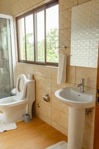 圣多美Baig's Guest House的一间带卫生间和水槽的浴室