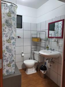 利马Espaciosos y lindos mini apartamentos的一间带卫生间和水槽的浴室