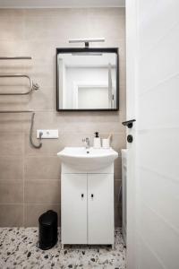 维尔纽斯Tyzenhauzu Apartment的一间带水槽和镜子的浴室