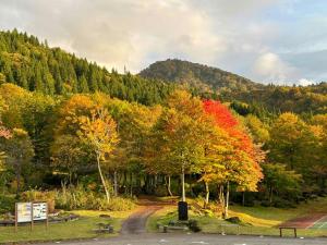 鱼沼市Asakusa Sanso的一条路上有秋色的树群