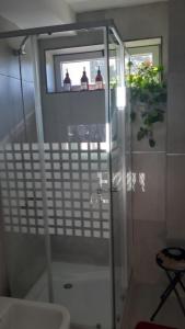内乌肯DEPARTAMENTO AMOBLADO NEUQUEN 2的浴室里设有玻璃门淋浴