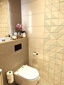 塔尔图Sissi Apartment Aleksandri 32的一间带卫生间和水槽的浴室