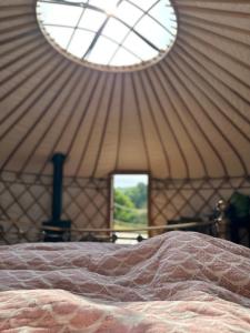NetherburyBracken Yurt at Walnut Farm Glamping的蒙古包内一间卧室,配有一张床,设有一个窗户