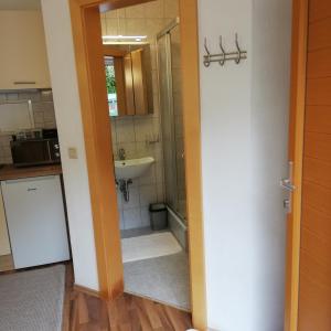普范德斯Tirol Apart Barbara的一间带水槽、淋浴和卫生间的浴室