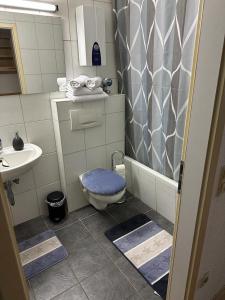 圣恩吉玛Wohnung in Sankt Englmar Nr 512的一间带卫生间和水槽的浴室