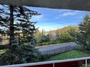 布达佩斯Castle View Apartment的从树木繁茂的阳台上可欣赏到风景