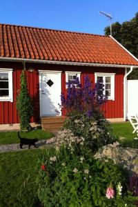 吕瑟希尔Mitt i vackraste Bohuslän的前面有一只猫的红色房子