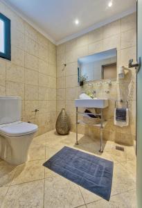 瓦西里科斯Porto Roma Seaside Studios的一间带卫生间、水槽和镜子的浴室