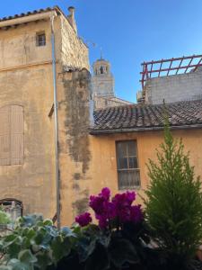 阿尔勒Résidence Léonard - Centre historique Arles的一座古老的建筑,前面有紫色的花朵