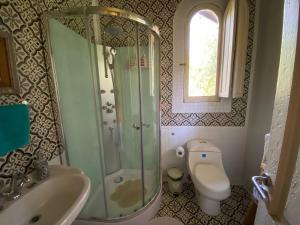Cajon del MaipoLoft del Rio的带淋浴、卫生间和盥洗盆的浴室
