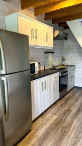 潘吉普伊Tiny House & Loft House的厨房配有不锈钢冰箱和木制橱柜
