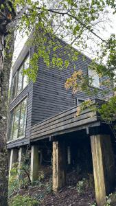 潘吉普伊Tiny House & Loft House的树林里的木头上的小房子