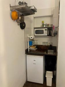 米茨佩·拉蒙cozy room的一间带水槽和微波炉的小厨房