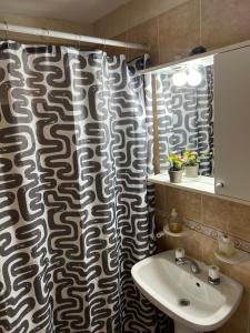 乌斯怀亚MS Hotel Campos 26的一间带水槽和淋浴帘的浴室