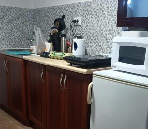 克拉西奇Studio Happy Montenegro的厨房配有带微波炉的台面