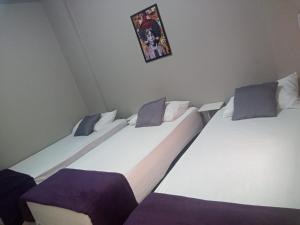 Hotel Apiacas客房内的一张或多张床位