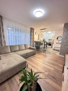 布拉索夫Deluxe Cozy Apartments - Coresi Mall #Brasov的带沙发和桌子的大客厅