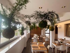拉韦洛Moma Hotel Wellness & Spa的一间设有桌椅的餐厅,种植了植物