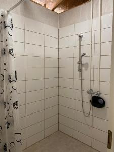 NõvaMarika Puhkeküla - Metsanurga Öömaja的带淋浴和浴帘的浴室