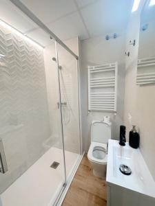 科尔多瓦CENTER FLAT MEZQUITA的带淋浴、卫生间和盥洗盆的浴室