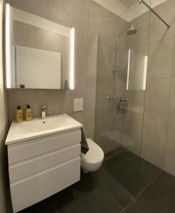 格仑达积图Hafnir的浴室配有卫生间、盥洗盆和淋浴。