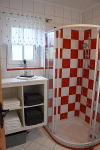 菲尔斯滕费尔德Wein & Wohnen MATZL - Ferienwohnung的一间带淋浴的浴室,配有红色和白色的格子墙