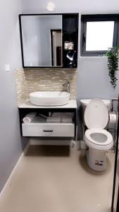 蒙特哥贝Victory Luxury Apartments的一间带卫生间、水槽和镜子的浴室