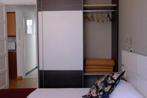 圣克鲁斯-德特内里费Orán Tenerife Suites Ap. 11的一间卧室配有一张床和一个带镜子的衣柜
