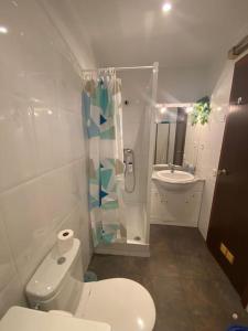 埃勒凡达尔Apartamento acogedor的浴室配有卫生间、淋浴和盥洗盆。
