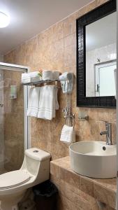 墨西哥城Private Penthouse / Penthouse Privado的一间带水槽、卫生间和镜子的浴室