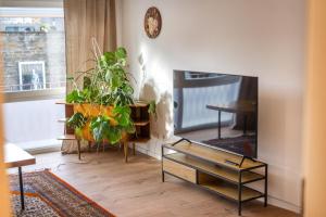 科布伦茨120qm, cozy Apartment, sehr zentral am HBF, 3SZ的一间带电视和植物的客厅