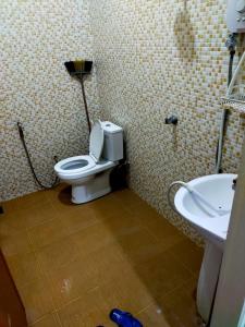 瓜拉丁加奴Sya Al-Yahya Homestay的一间带卫生间和水槽的浴室