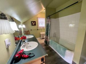 尼亚加拉瀑布ROOM C IN THE WHITE HOUSE的浴室配有盥洗盆和浴缸。