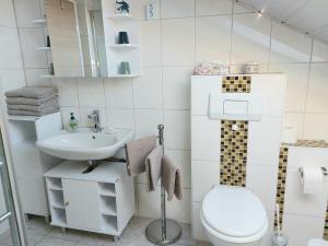 PöhldeCozy holiday apartment in the Harz的一间带卫生间和水槽的小浴室