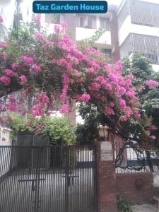 达卡Taz Garden House的建筑上带粉红色花的围栏