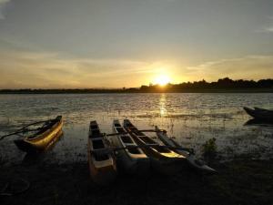 波隆纳鲁沃Hotel Lake Park的日落时分坐在水面上的一群船