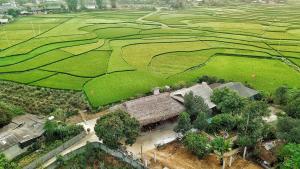 Yên BáiMuonglo Farmstay的稻田农场和建筑的空中景观