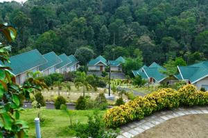 蒙纳Aveda Munnar Mountains and Mist的一排蓝色屋顶和鲜花的房子