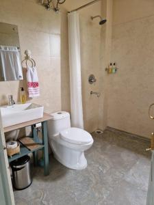 BokākhātMedini Homestay的浴室配有卫生间、盥洗盆和淋浴。