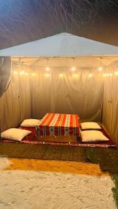 迪拜ONE 7 FARM (DESI PARADISE FARM )的帐篷内的一张床位,上面有灯