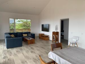 VairaoPuunui Lodge的客厅配有蓝色的沙发和电视