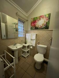 比勒陀利亚Executive suite@Lofts的一间带卫生间和水槽的浴室