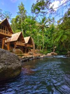 TampaksiringAksha Riverside Ubud的一条河,有几座房子和树木