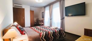 ŁęcznaPensjonat Emocja的配有一张床和一台平面电视的酒店客房
